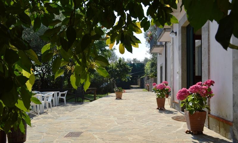 Hotel Il Casale Sorrento Exteriér fotografie