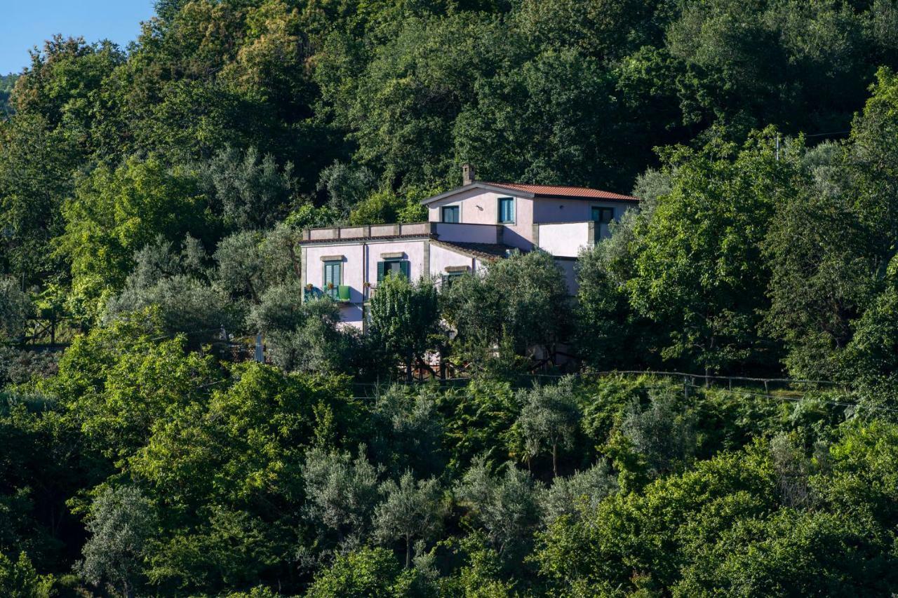 Hotel Il Casale Sorrento Exteriér fotografie